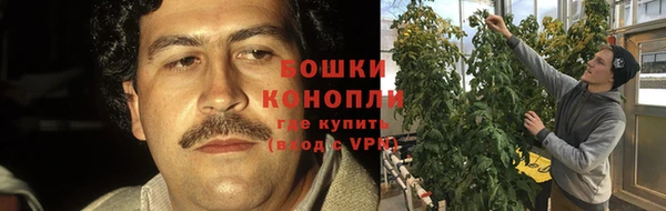 mdpv Пересвет