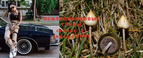 ПСИЛОЦИБИНОВЫЕ ГРИБЫ Красавино