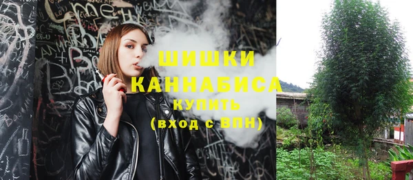 ГАЛЛЮЦИНОГЕННЫЕ ГРИБЫ Кохма