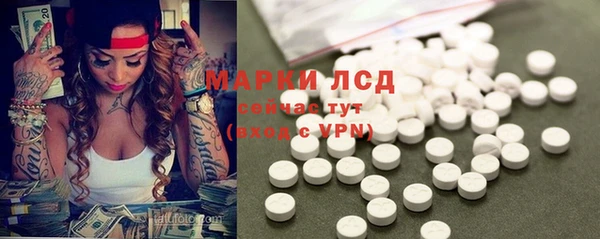 ПСИЛОЦИБИНОВЫЕ ГРИБЫ Пестово