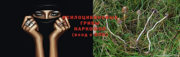 mdpv Пересвет