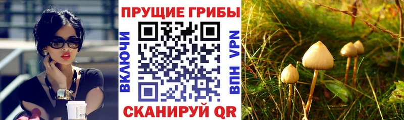 Галлюциногенные грибы прущие грибы  купить  сайты  Кыштым 