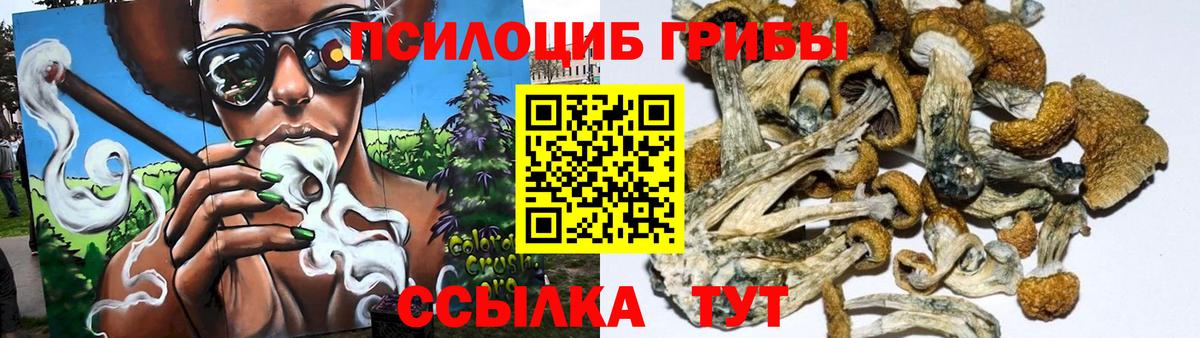 Галлюциногенные грибы Psilocybe  Вход с VPN  Кыштым 