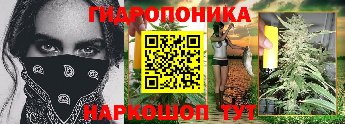 Конопля VHQ  Марихуана OG Kush  Вход с VPN  Конопля SATIVA & INDICA  Кыштым 